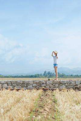 免费高清在线观看